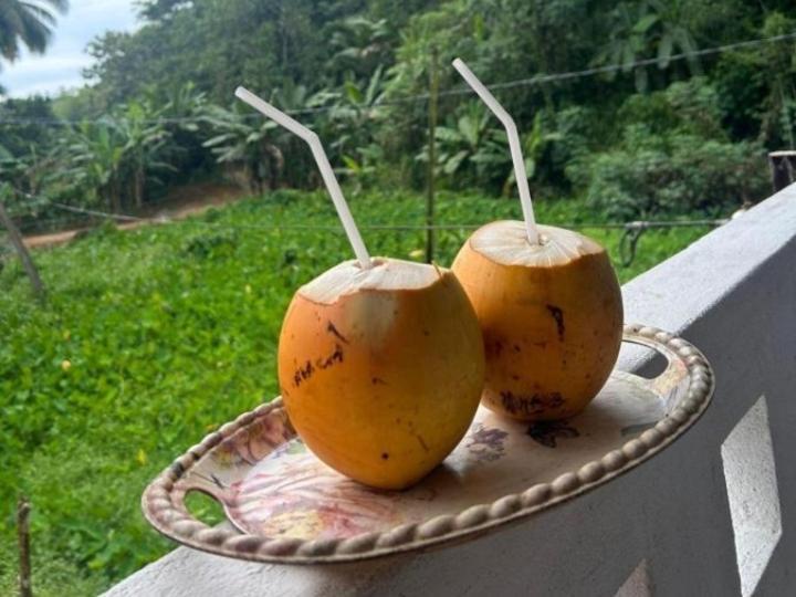 Sandaru Holiday Resort Weligama Exteriör bild